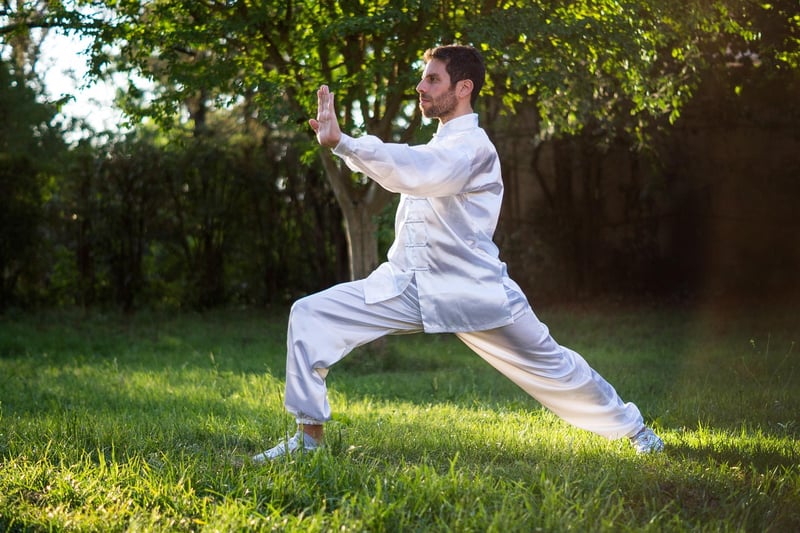 Yang Style Tai Chi in Nature
